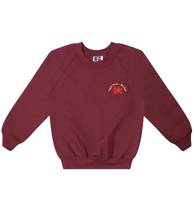 Classic Sweatshirt (Child)